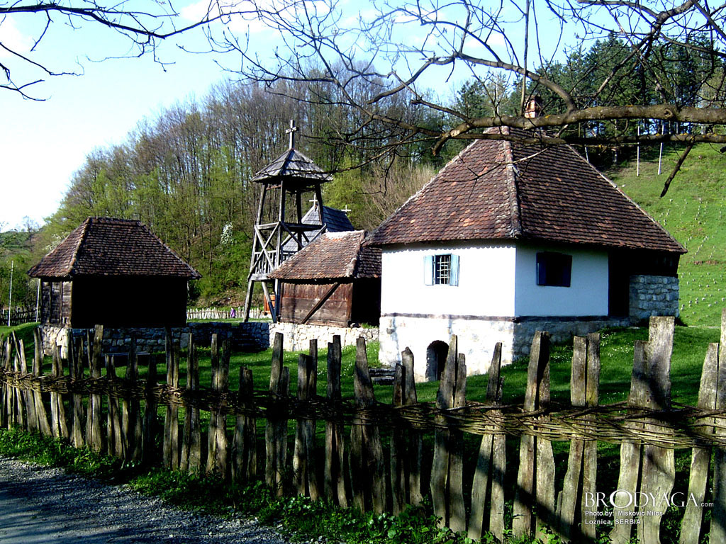 Loznica